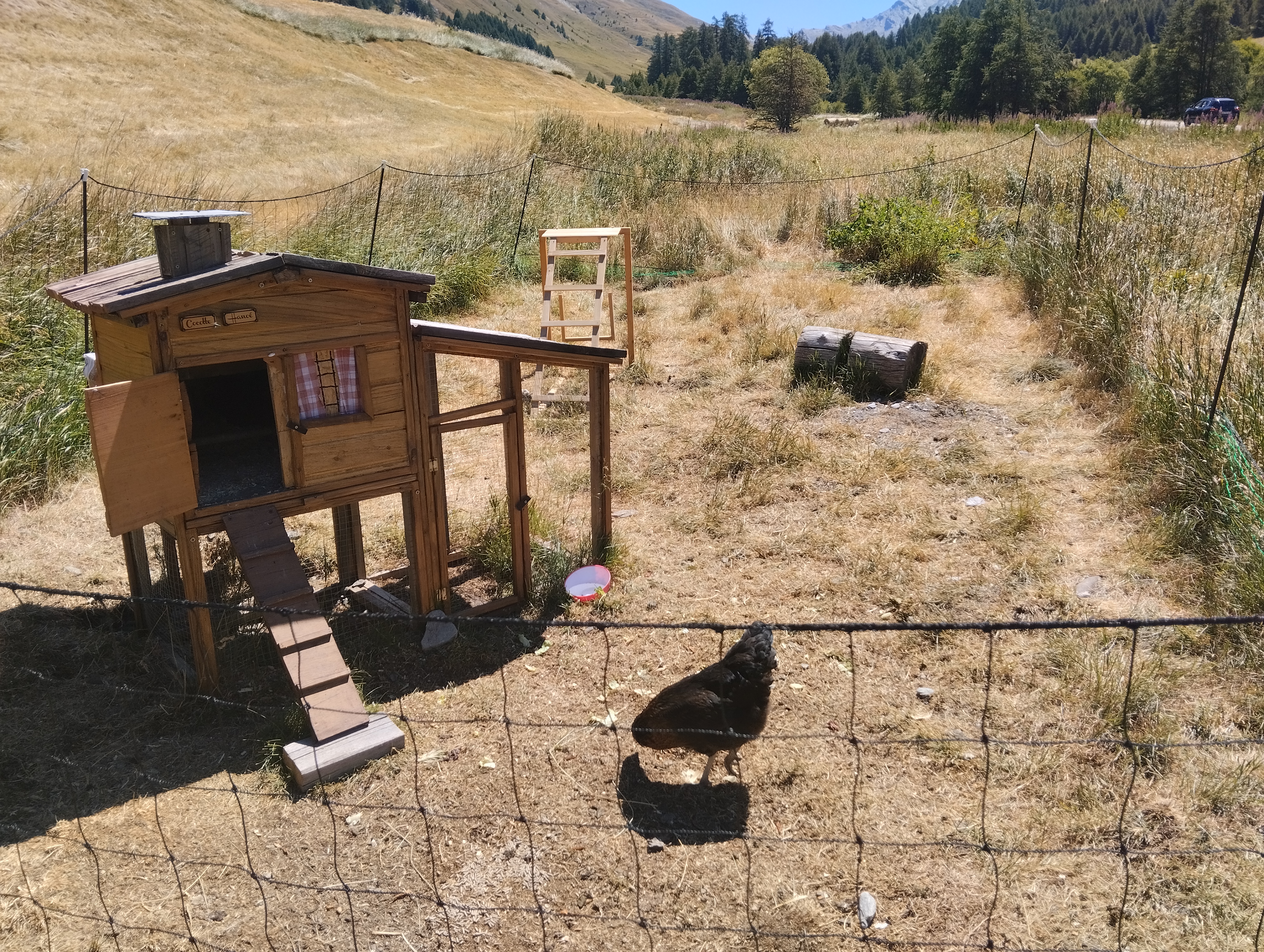 Photo n° 3 de l'avis de Frédéric.e fait le 10/08/2023 à 21:29