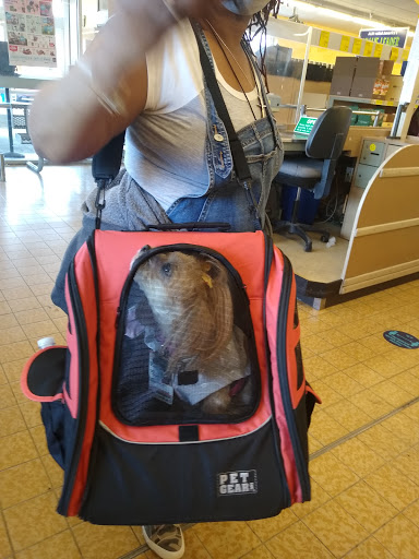 Supermarket «ALDI», reviews and photos, 24130 Van Born Rd, Dearborn Heights, MI 48125, USA