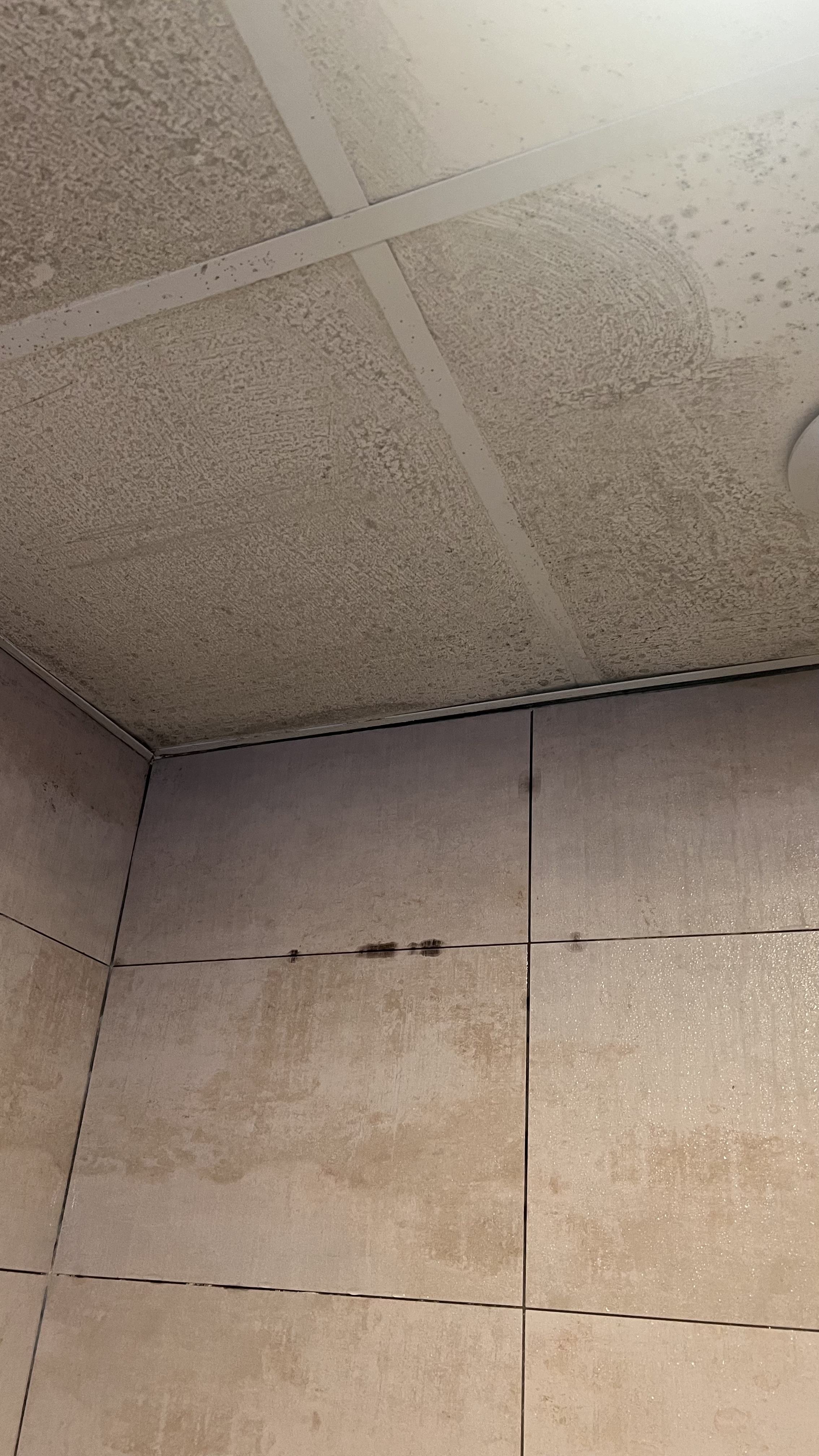 Photo n° 5 de l'avis de Oleh. fait le 07/12/2023 à 19:43
