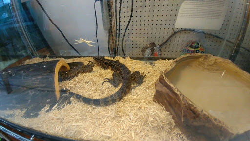 Pet Store «Eden Pets Supplies & Aquarium», reviews and photos, 3771 Bladensburg Rd, Brentwood, MD 20722, USA