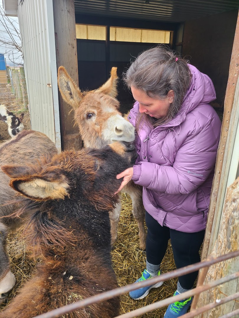 Turning Pointe Donkey Rescue