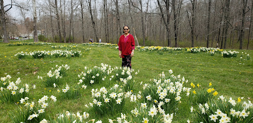 Wedding Venue «The Wadsworth Mansion at Long Hill», reviews and photos, 421 Wadsworth St, Middletown, CT 06457, USA