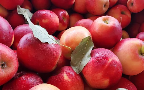 Kiyokawa Family Orchards image