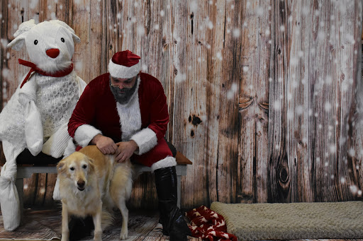 Pet Supply Store «Thomaston Feed of Cheshire», reviews and photos, 851 S Main St, Cheshire, CT 06410, USA