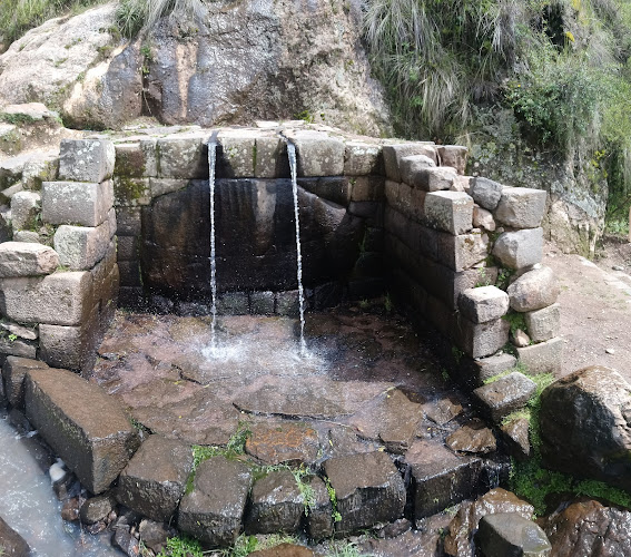 Opiniones de Laguna de Pumacocha en Ayacucho - Camping