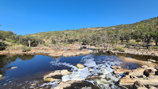 bank Bells Rapids Park