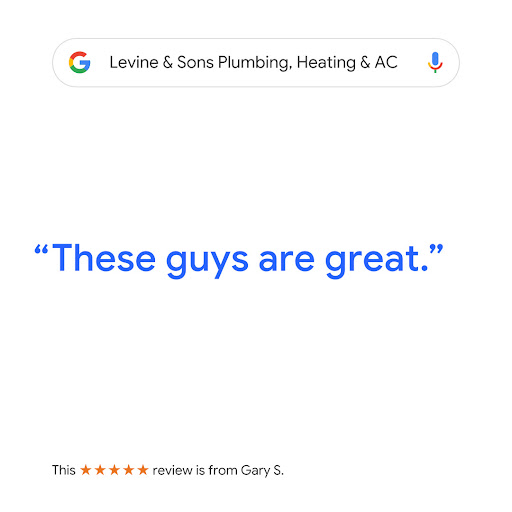 Plumber «Levine & Sons», reviews and photos, 11931 Dixie, Redford Charter Twp, MI 48239, USA