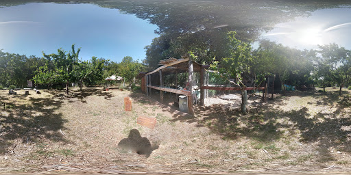 High School «San Domenico School», reviews and photos