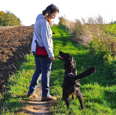 Éducateur comportementaliste canin - asbl pas à pattes