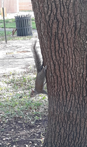 Park «Zinkil Park», reviews and photos, 5451 Washington St, Hollywood, FL 33021, USA