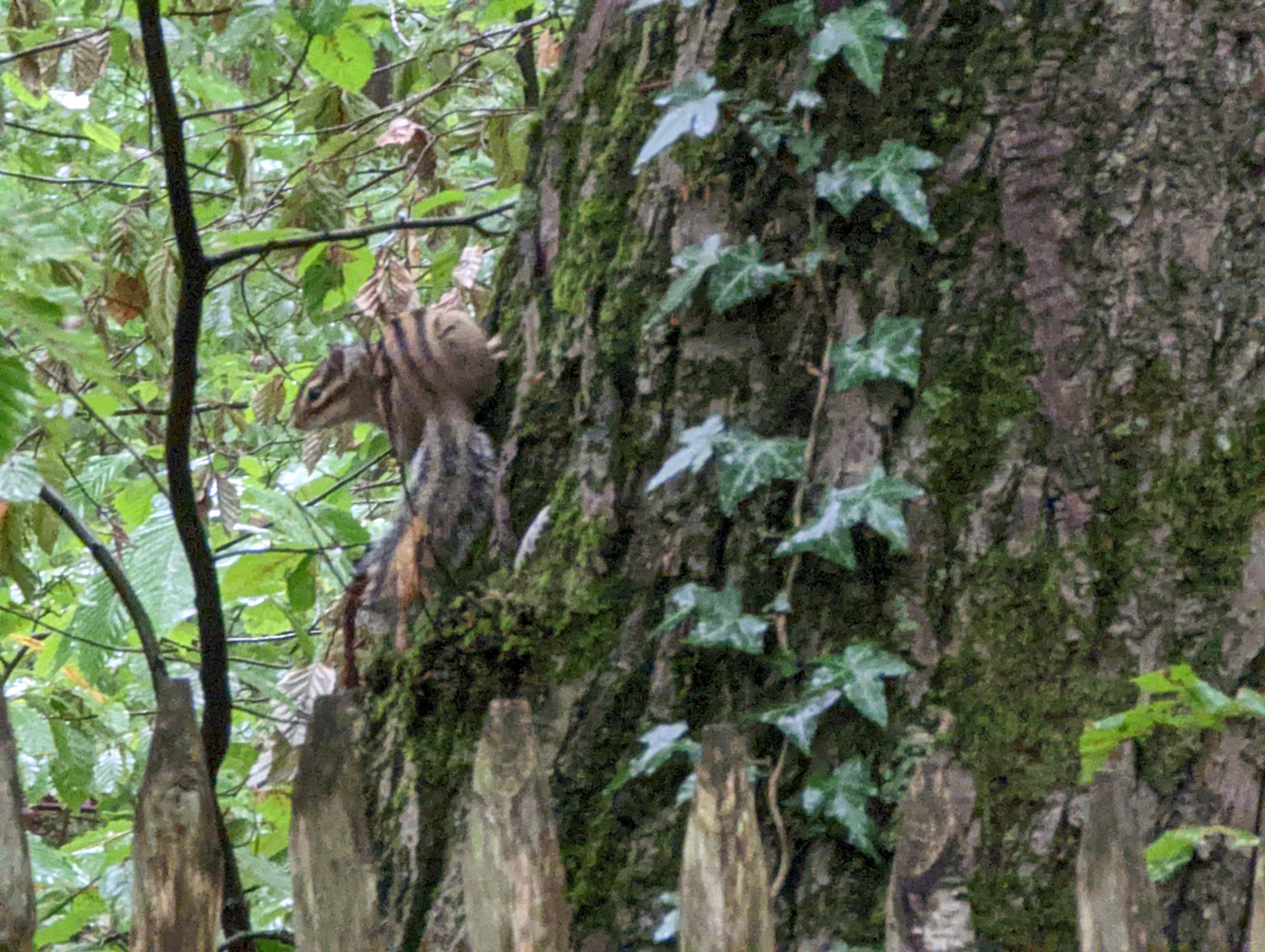 Photo n° 3 de l'avis de Virgile.o fait le 24/09/2022 à 13:04