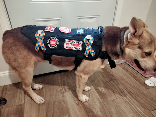 Clothing Store «Ross Dress for Less», reviews and photos, 6834 Wesley St r, Greenville, TX 75402, USA