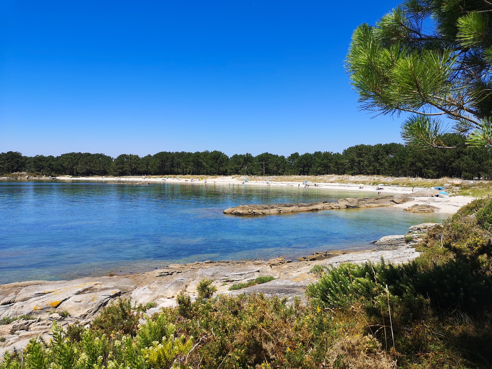 Φωτογραφία του Playa de A Lameira άγρια περιοχή