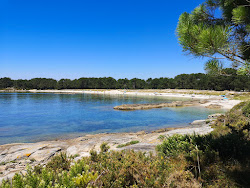 Φωτογραφία του Playa de A Lameira άγρια περιοχή