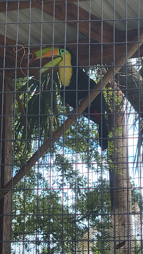 Water Park «Wild Adventures Theme Park», reviews and photos, 3766 Old Clyattville Rd, Valdosta, GA 31601, USA