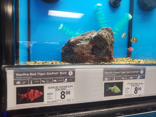 Pet Supply Store «Petco Animal Supplies», reviews and photos, 6761 Westminster Ave, Westminster, CA 92683, USA