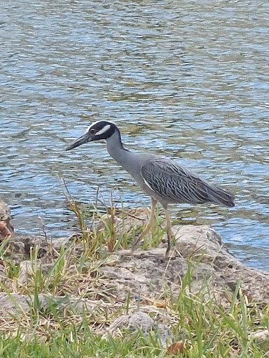 Park «Sewell Park», reviews and photos, 1801 NW S River Dr, Miami, FL 33125, USA