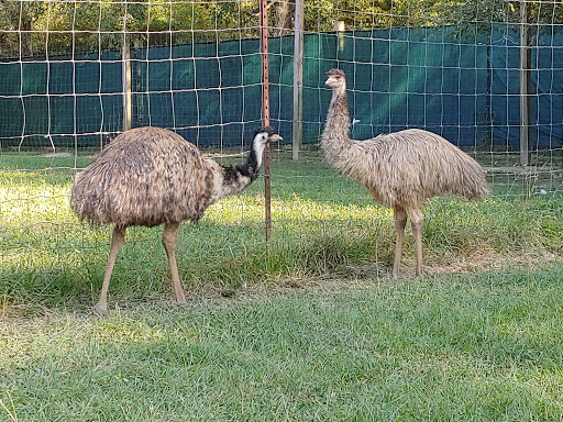 Tourist Attraction «Barn Hill Preserve», reviews and photos, 11370 LA-955, Ethel, LA 70730, USA