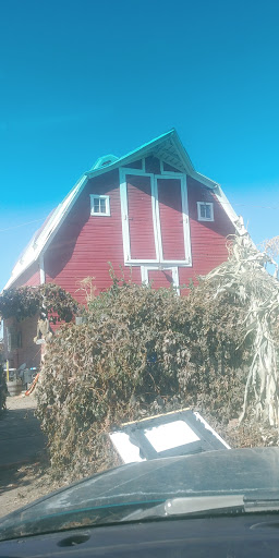 Produce Market «Berry Patch Farms», reviews and photos, 13785 Potomac St, Brighton, CO 80601, USA