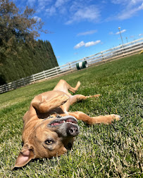 C R Ranch - Photo 6 - Car repair in Modesto, CA, Modesto