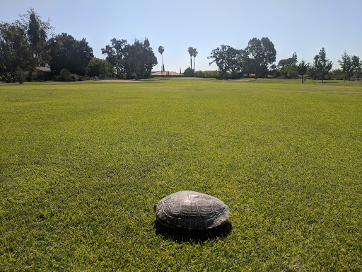 Golf Club «Paso Robles Golf Club», reviews and photos, 1600 Country Club Dr, Paso Robles, CA 93446, USA