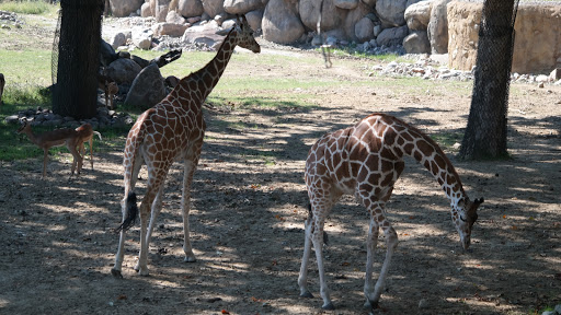 Zoo «Wild Kingdom Pavilion», reviews and photos, 3701 S 10th St, Omaha, NE 68108, USA