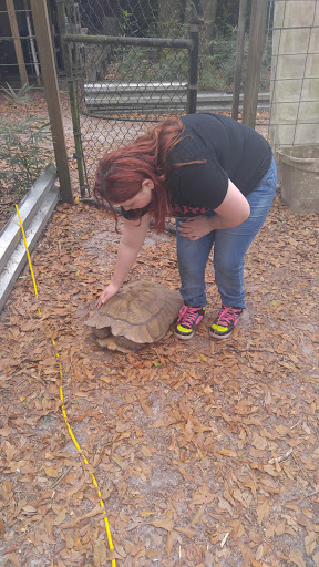 Zoo «Florida International Teaching Zoo», reviews and photos, 7725 FL-48, Bushnell, FL 33513, USA