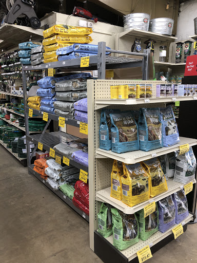 Hardware Store «Ace Hardware of Longwood», reviews and photos, 170 W State Rd 434, Longwood, FL 32750, USA