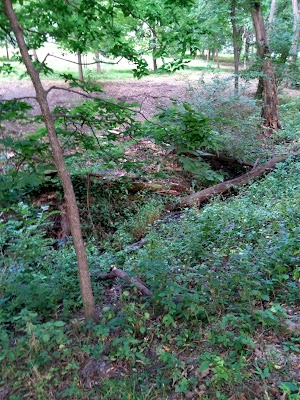 Pioneer Park - photo 11