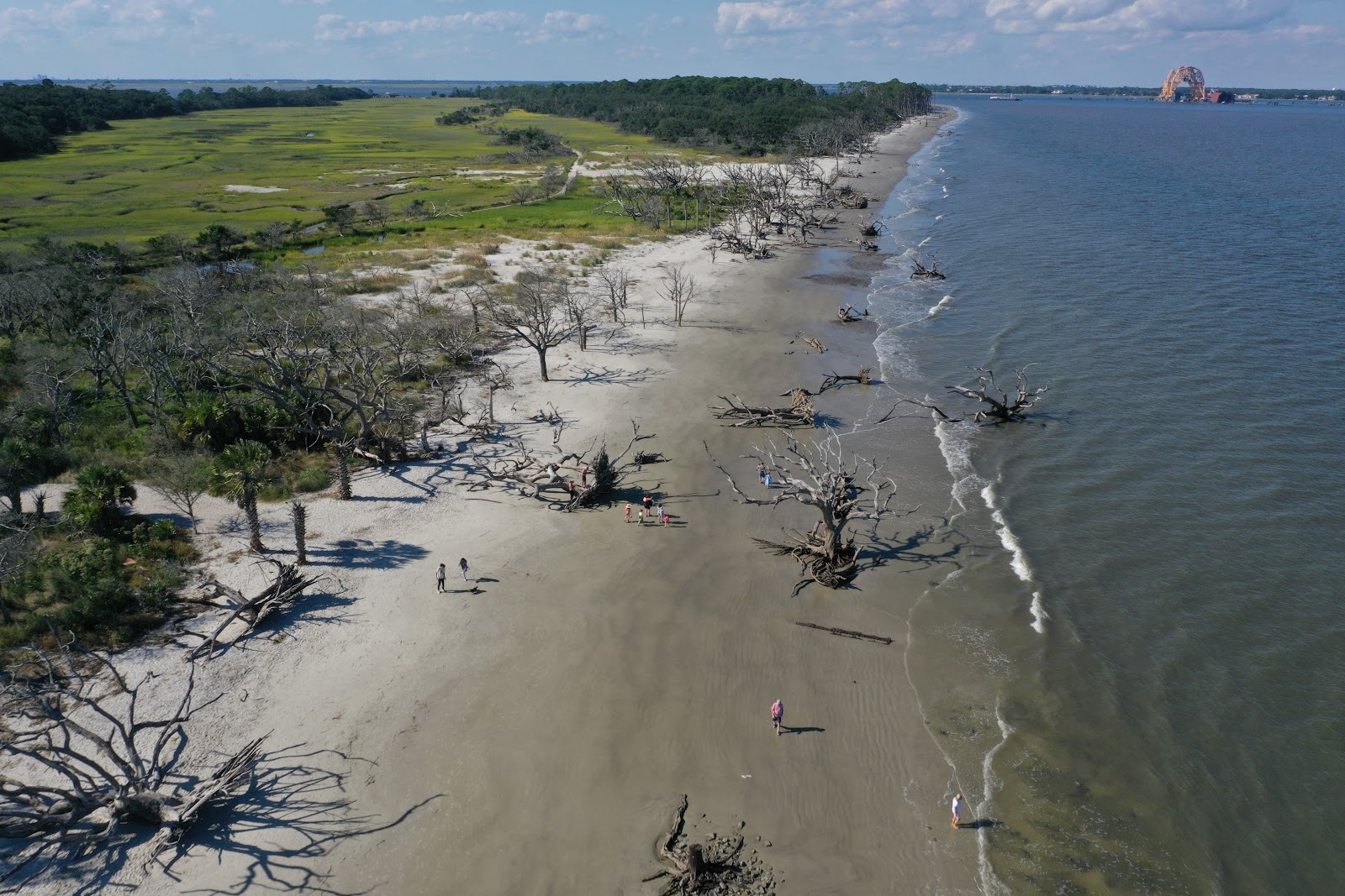 Foto von Driftwood beach mit langer gerader strand