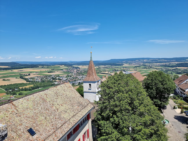 Kommentare und Rezensionen über Stiftung Schloss Regensberg