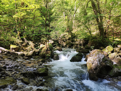 Source de la Nive à Estérençuby