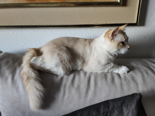 Altamira Clínica Veterinaria en Madrid
