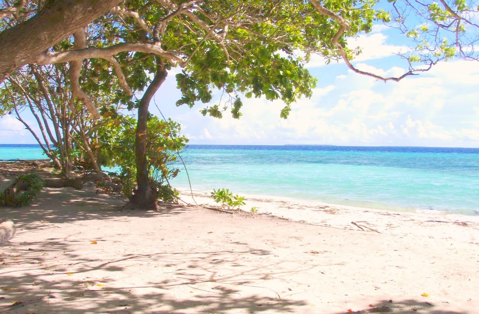 Molhadhoo Beach photo #7