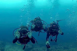 Adventure Mania - Sodwana Bay Scuba Diving image