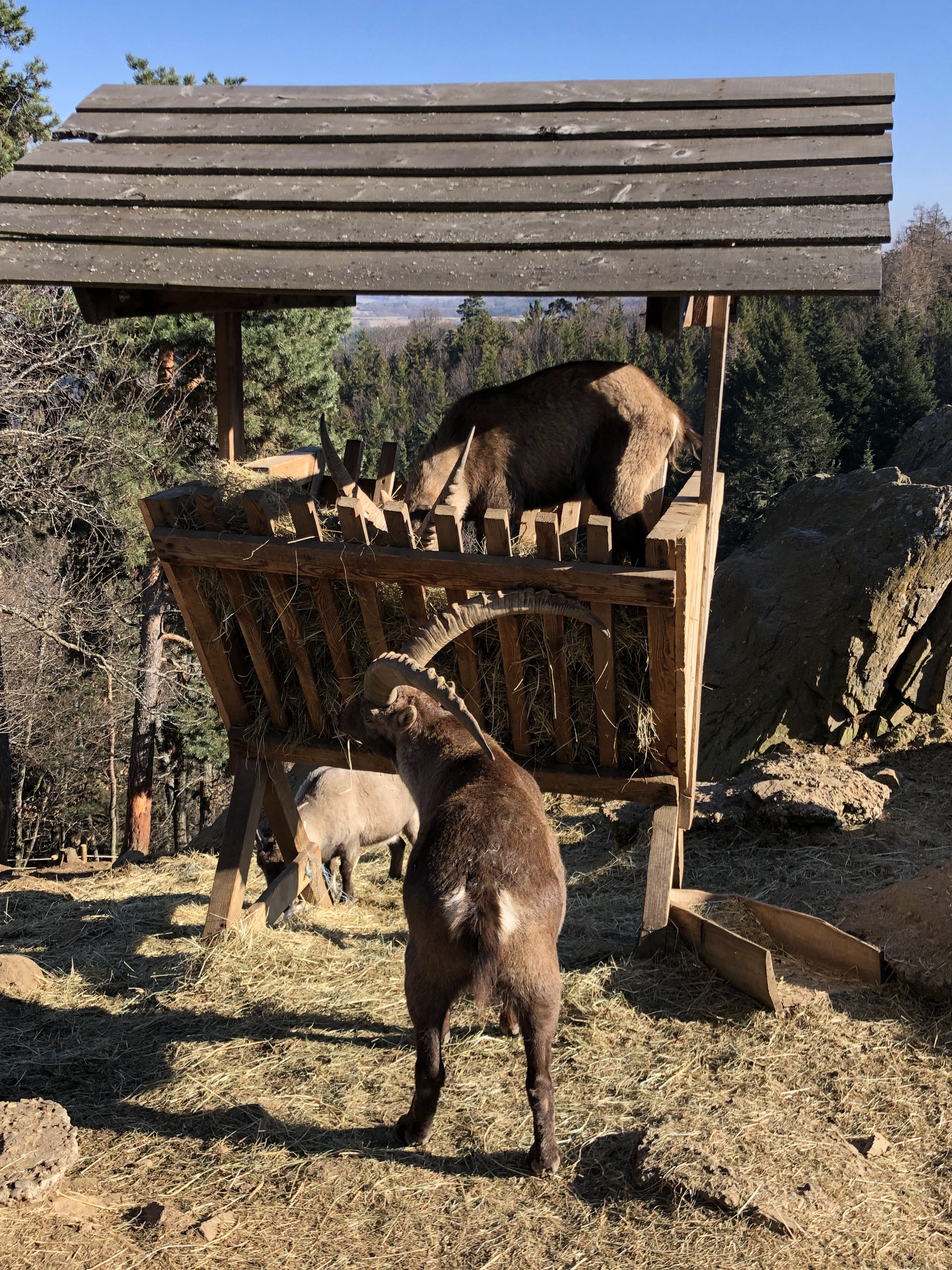 Photo n° 5 de l'avis de Romain. fait le 19/01/2020 à 12:09