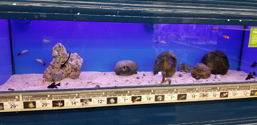 Pet Supply Store «Petco Animal Supplies», reviews and photos, 3430 W State St, Grand Island, NE 68803, USA