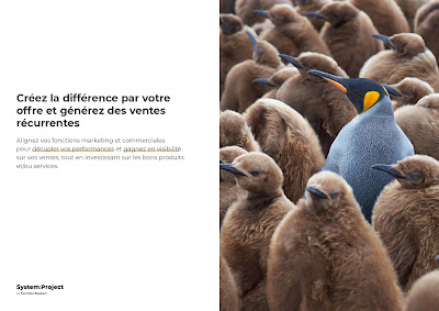System:Project (Fonction:Support) | Cabinet de Conseil pour PME & ETI ️- Paris à Paris
