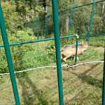 Photo n°2 de l'avis de Matthias. fait le 08/09/2023 à 22:49 sur le  Bärenblick à Bad Rippoldsau-Schapbach