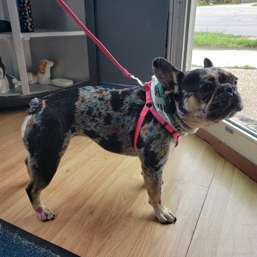 Pet Groomer «Ufuri Pet Salon», reviews and photos, 235 Huron Ave, Port Huron, MI 48060, USA