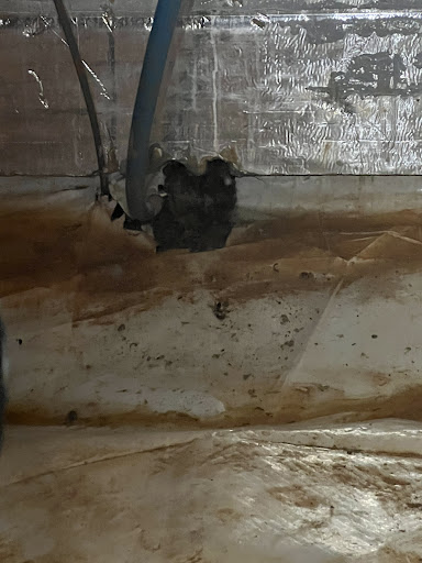 General Contractor «Dry Pro Foundation and Crawlspace Specialists», reviews and photos