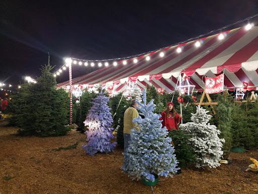 Christmas Tree Village