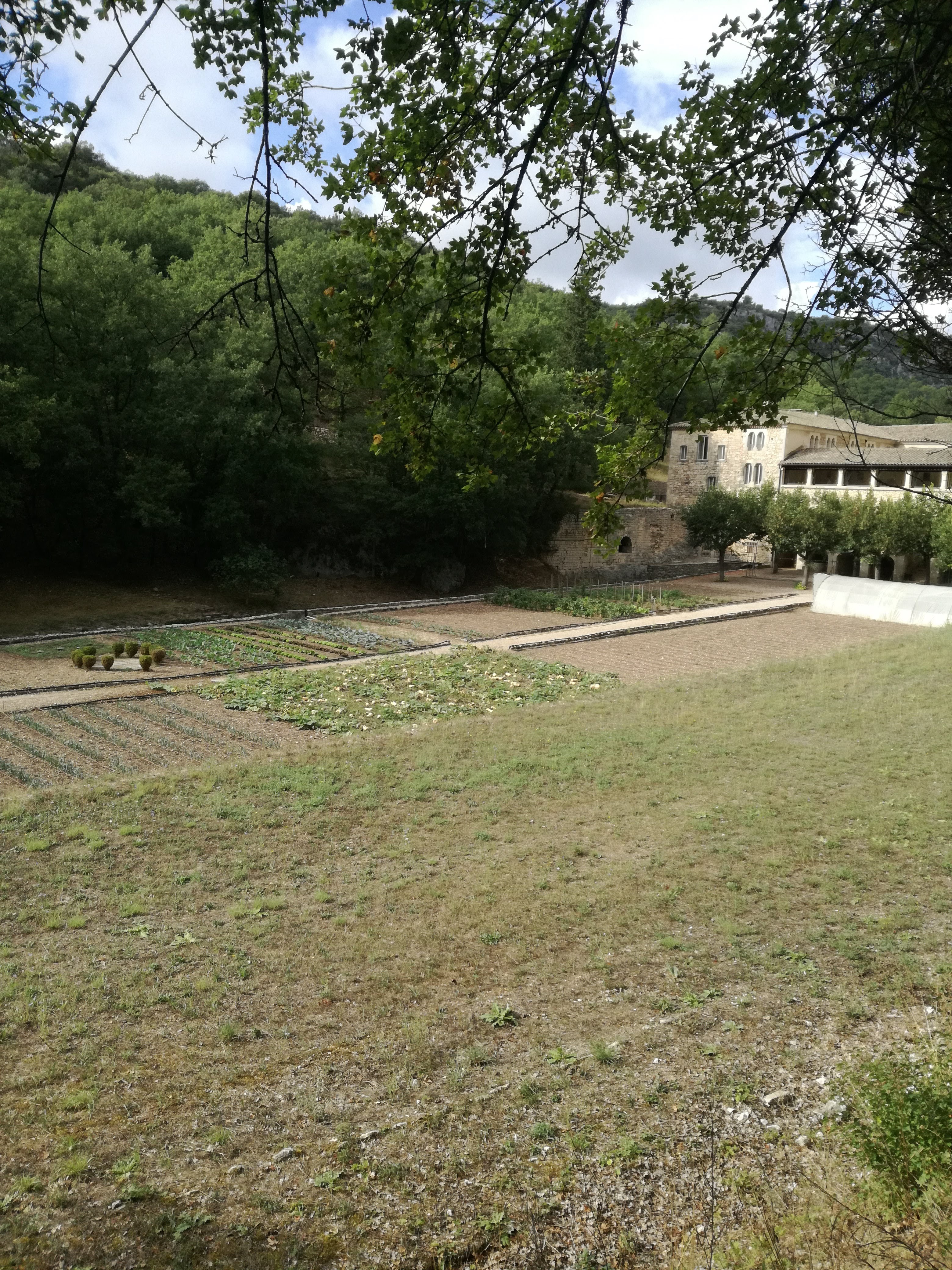 Photo n° 6 de l'avis de Frédérique.e fait le 21/09/2021 à 13:06