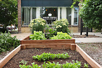 White Lotus Therapeutics - Photo 4 - Car repair in Denver, CO, Denver