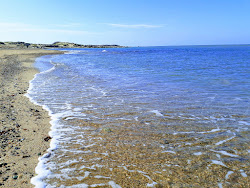 Photo de Dalyan Marina beach zone des équipements