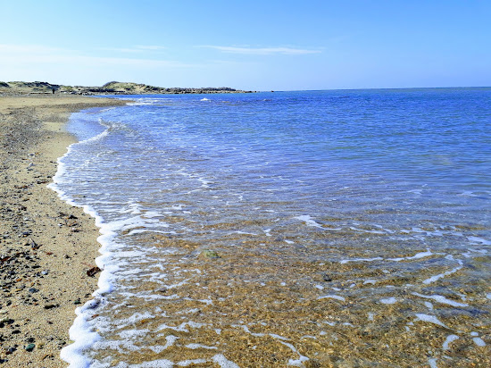 Dalyan Marina beach