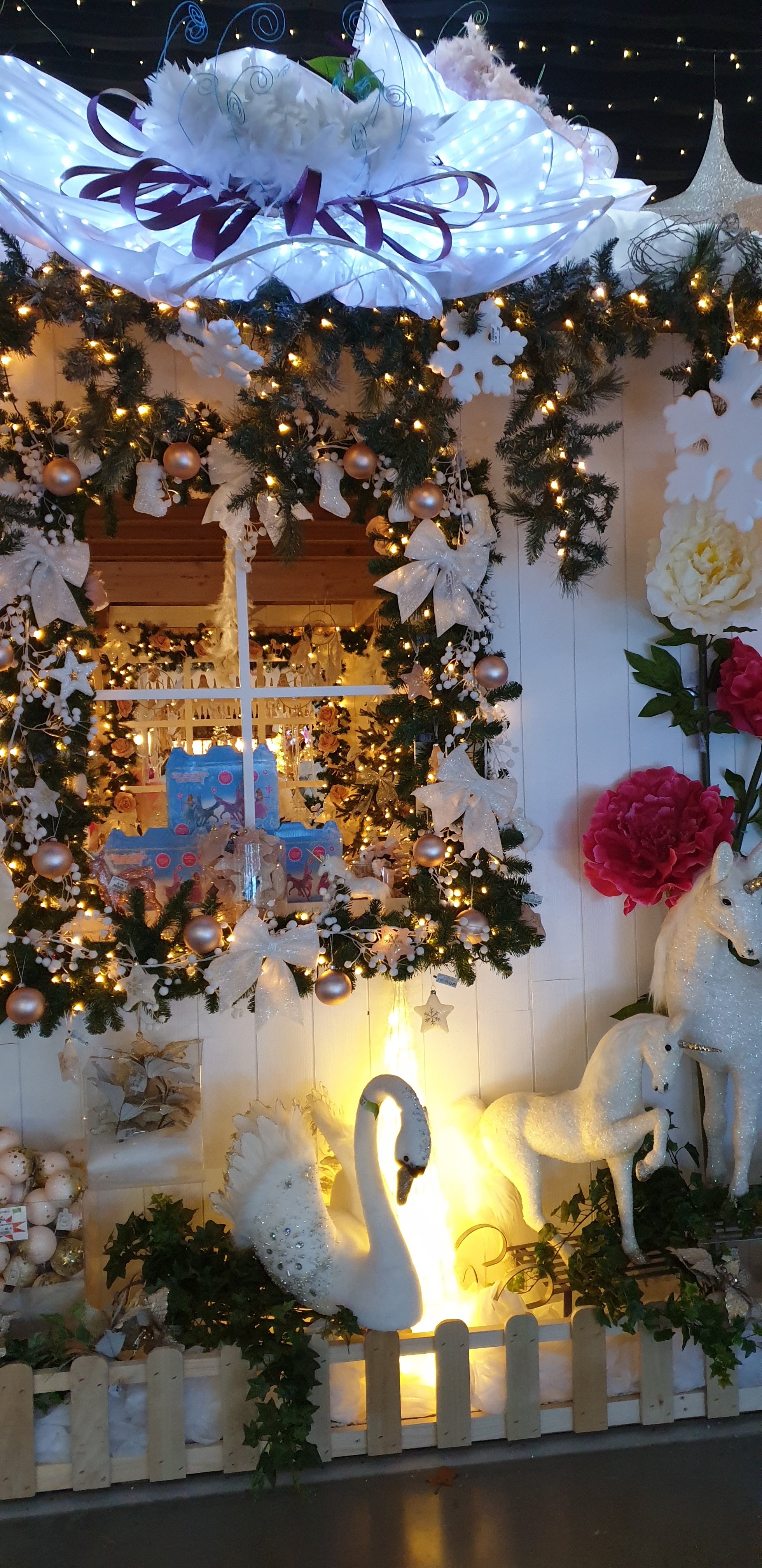 Photo n° 5 de l'avis de Annie.o fait le 12/11/2019 à 07:36