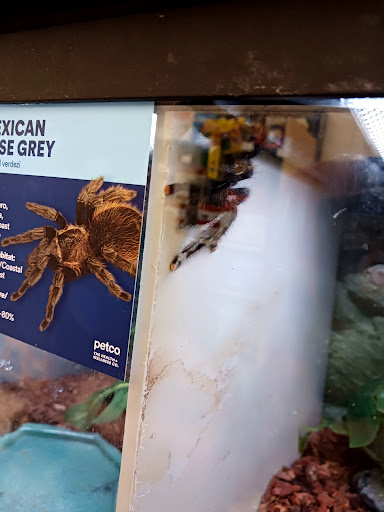 Pet Supply Store «Petco Animal Supplies», reviews and photos, 20825 I-30, Benton, AR 72015, USA