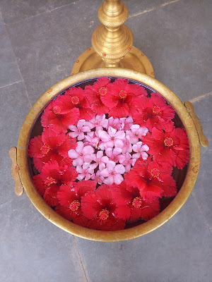 Mireye VIDAL - Praticien en ayurveda à Cotignac