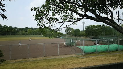 鴻ノ巣山運動公園 野球場